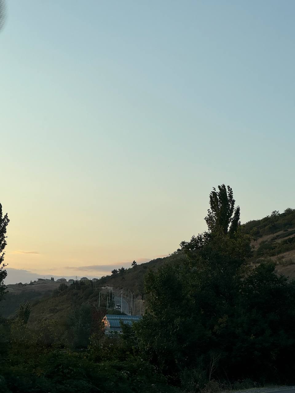 Nature scene