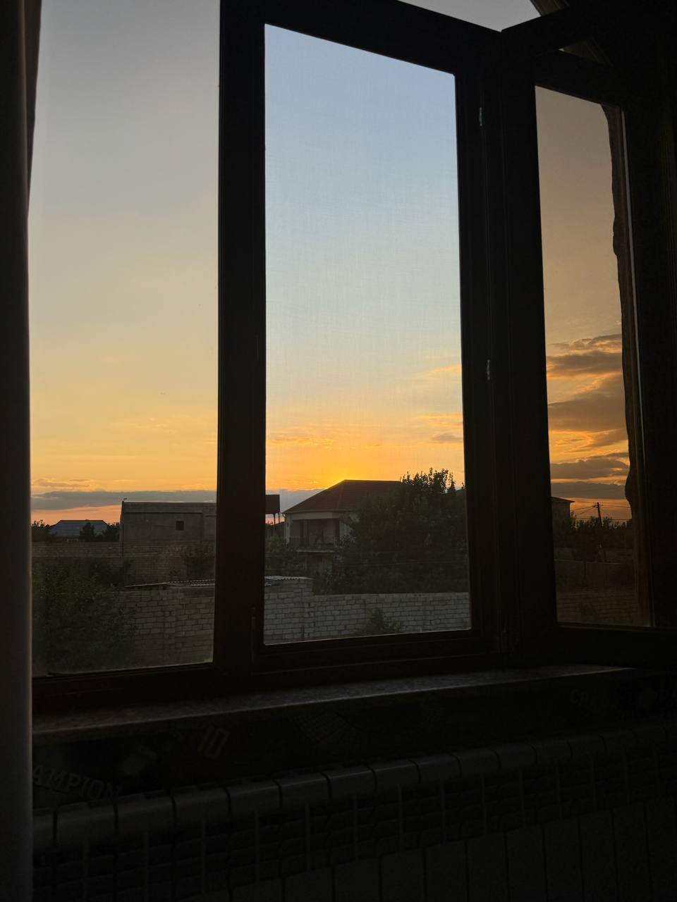Nature view