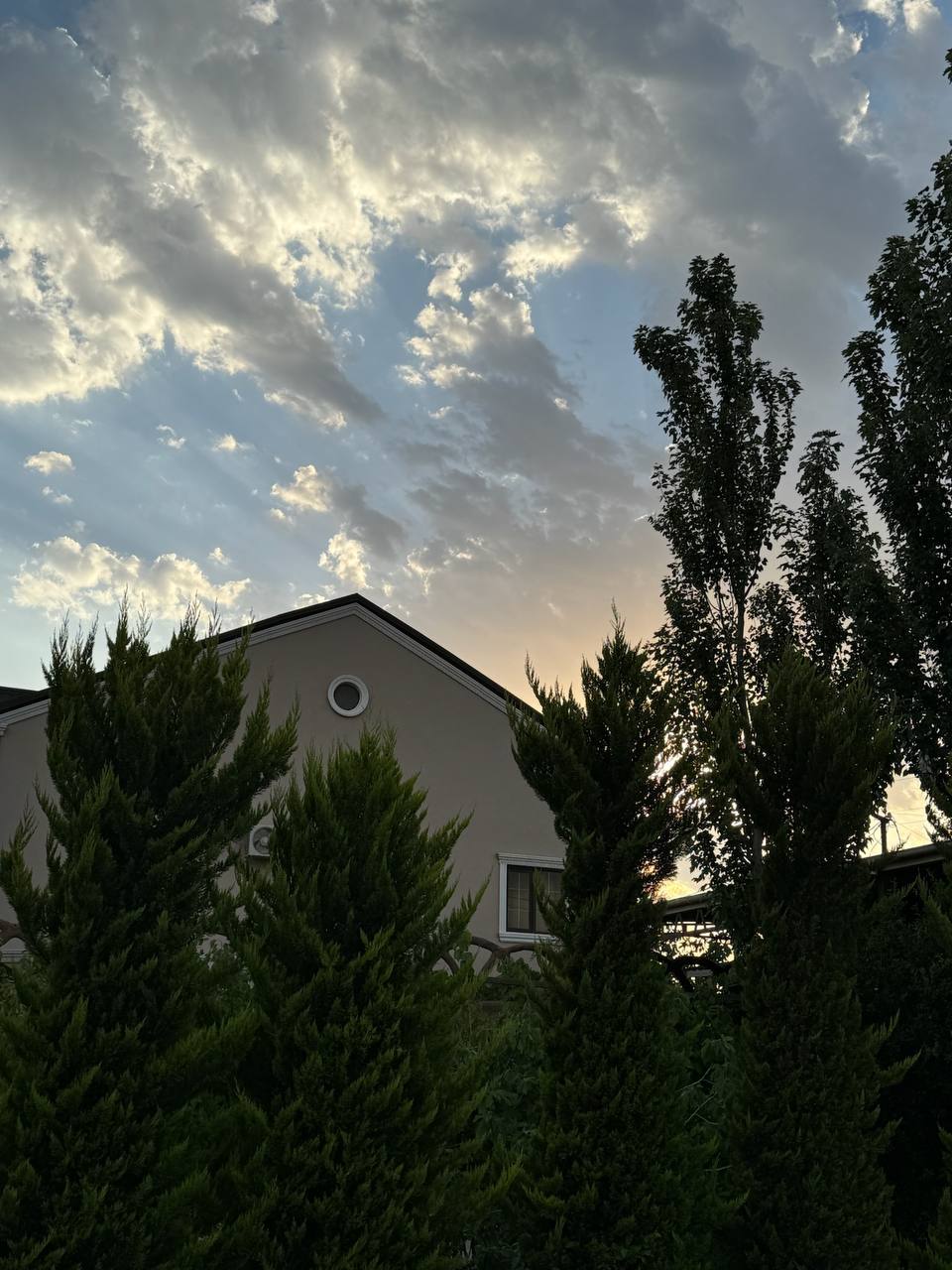 Nature scene