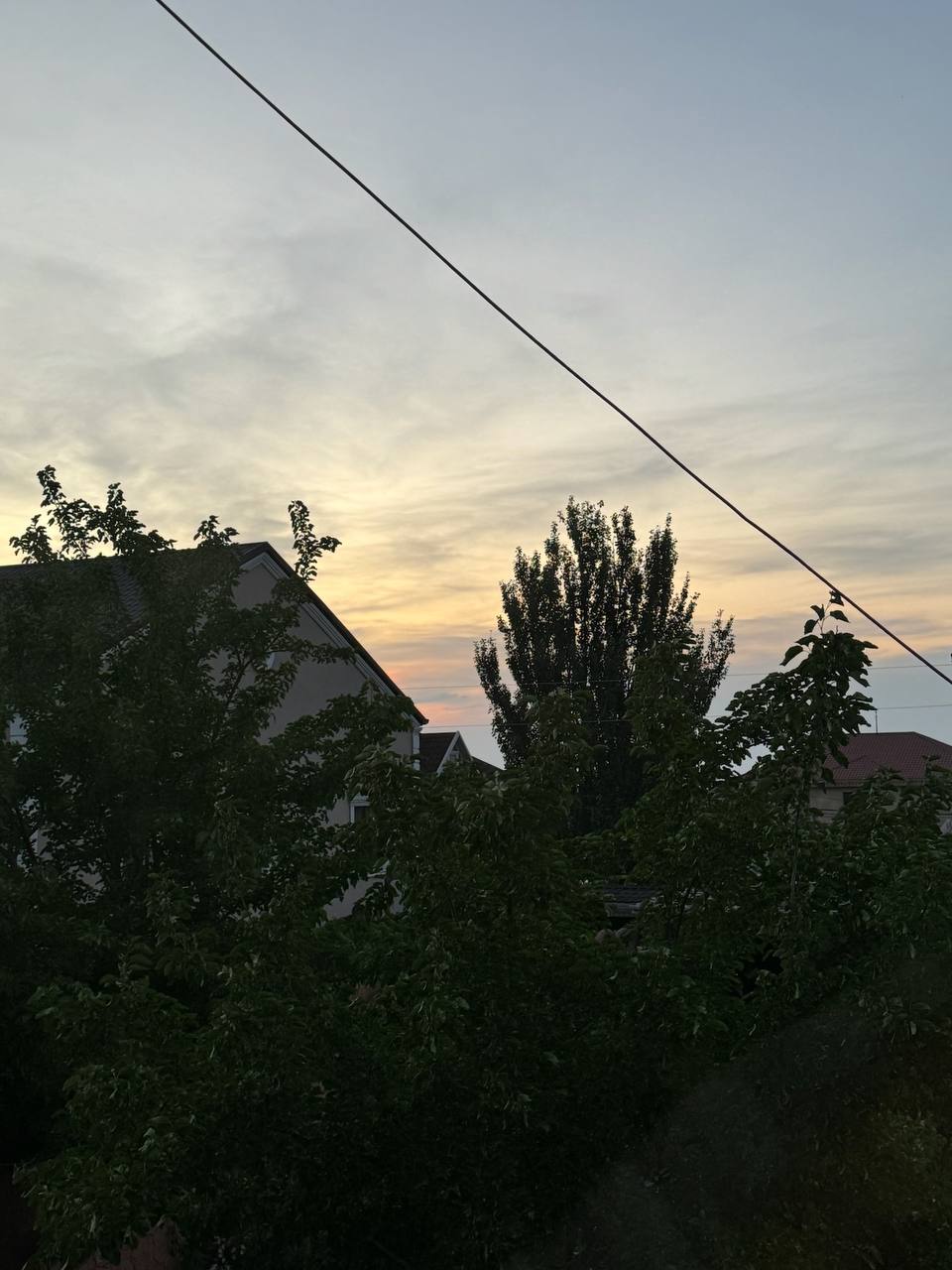 Nature view