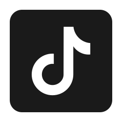 TikTok Wrapped Logo
